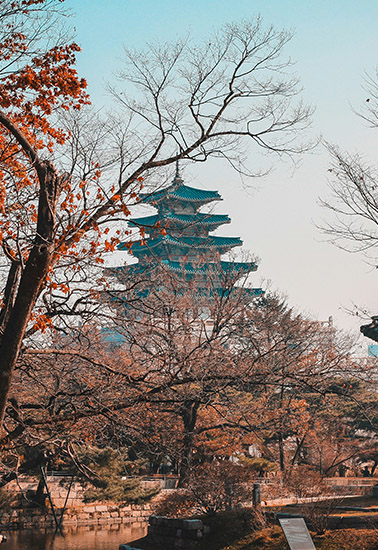 Coreia do Sul | 4920902a